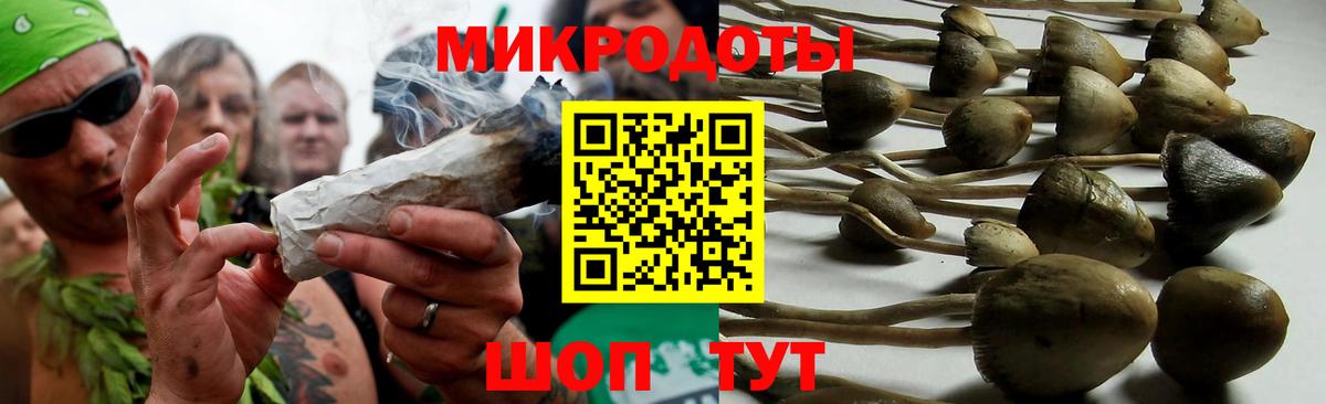 Верхняя Салда  Псилоцибиновые грибы MAGIC MUSHROOMS  Вход с VPN 